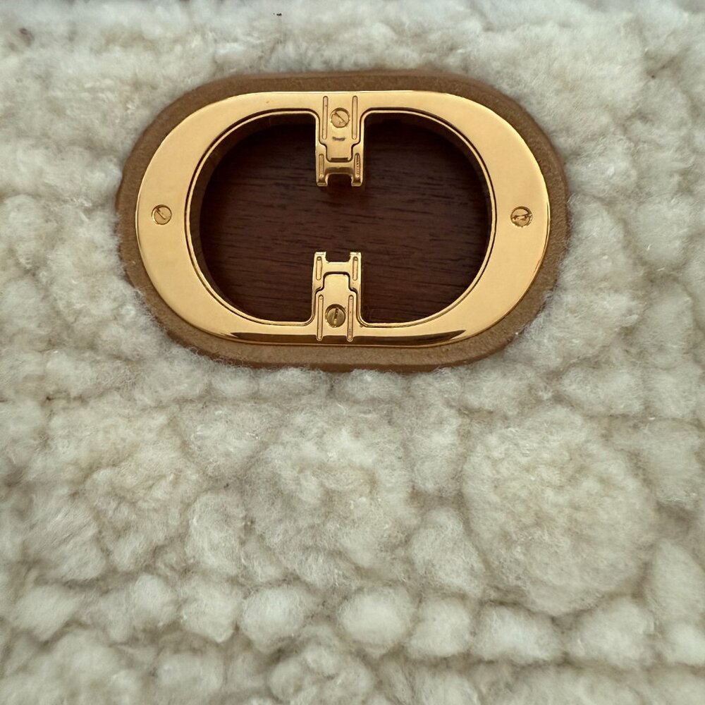 CHRISTIAN DIOR CANNAGE QUILTED SHEARLING FUR CARO BAG - Picture 9 of 12